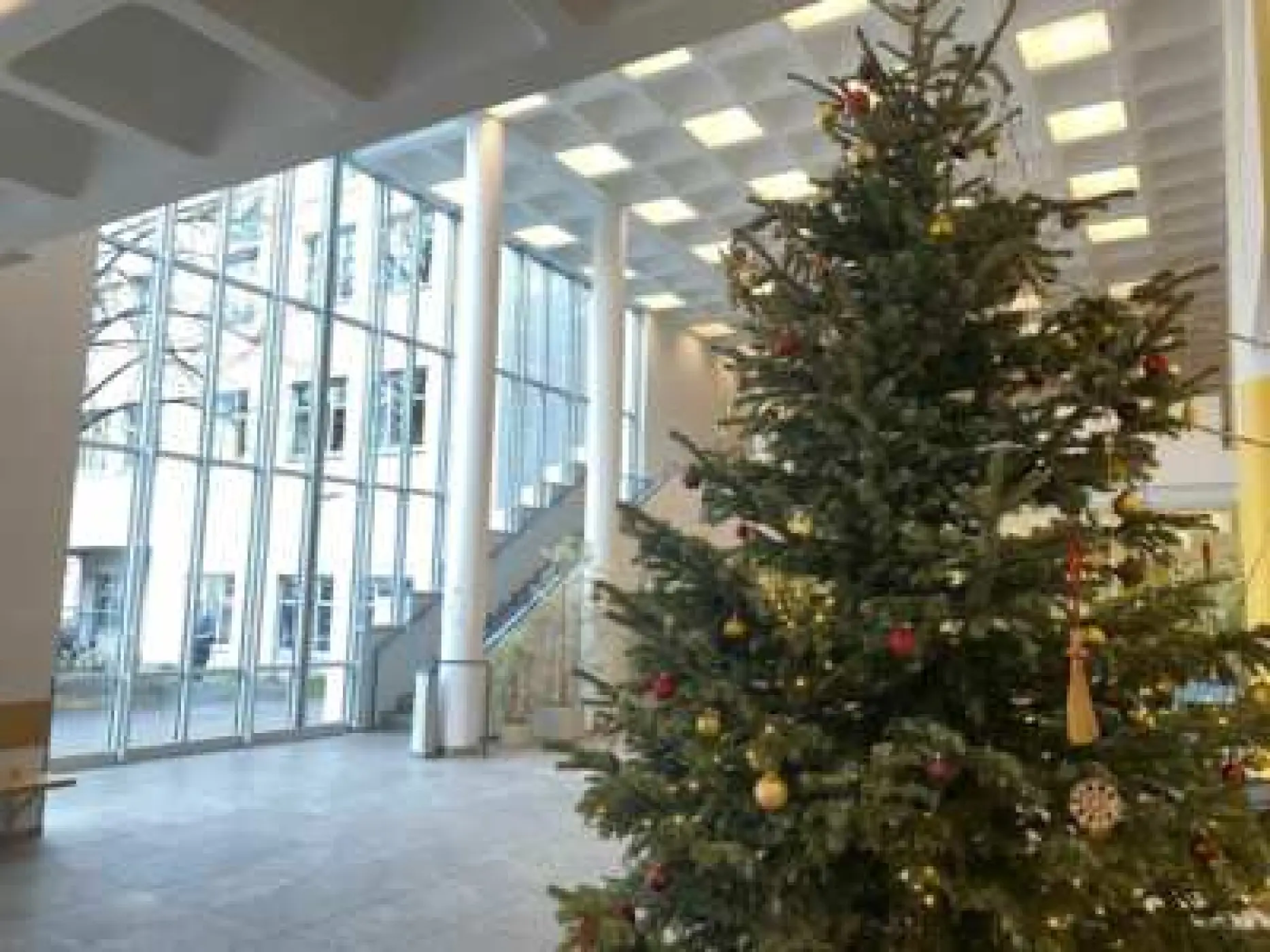 Projekte der Städt. Berufsschule für Fachkräfte in
		Arzt- und Tierarztpraxen und Pharm.-kaufm. Angestellte