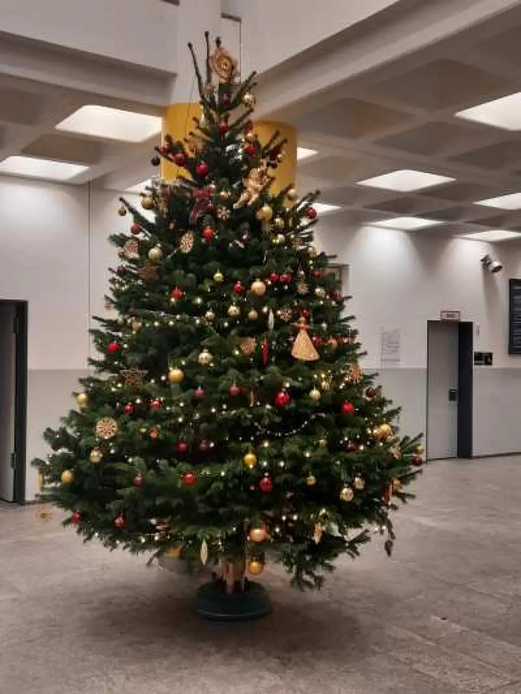 Projekte der Städt. Berufsschule für Fachkräfte in
		Arzt- und Tierarztpraxen und Pharm.-kaufm. Angestellte